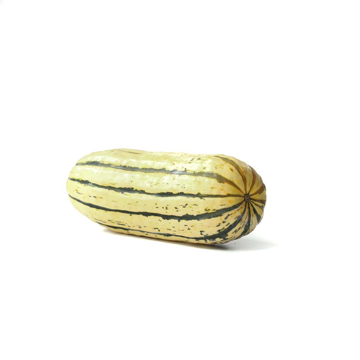 all-about-delicata-squash