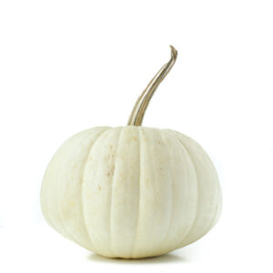 White (Ghost) Pumpkin