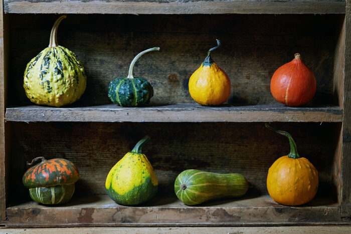 Decorative gourds & squashes