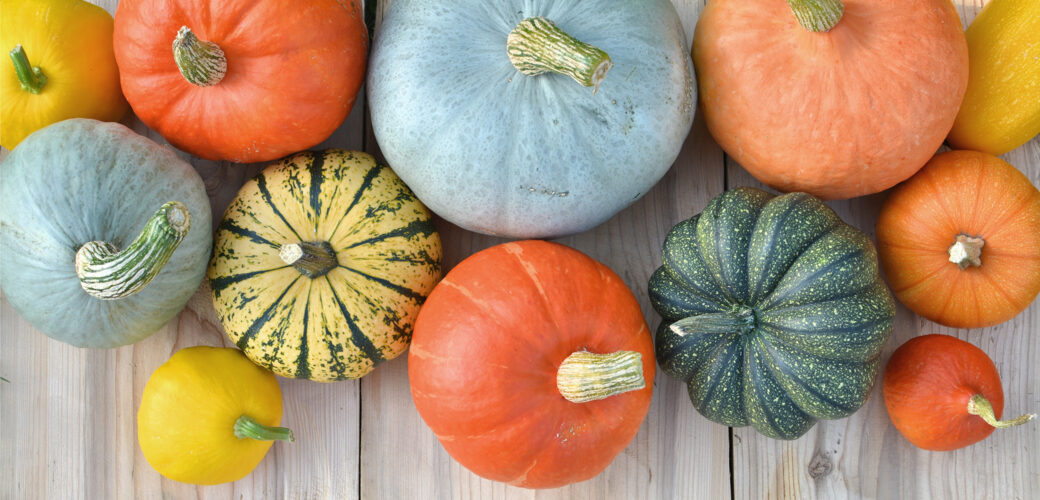A variety of winter and summer squashes