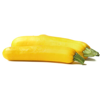 Yellow Squash