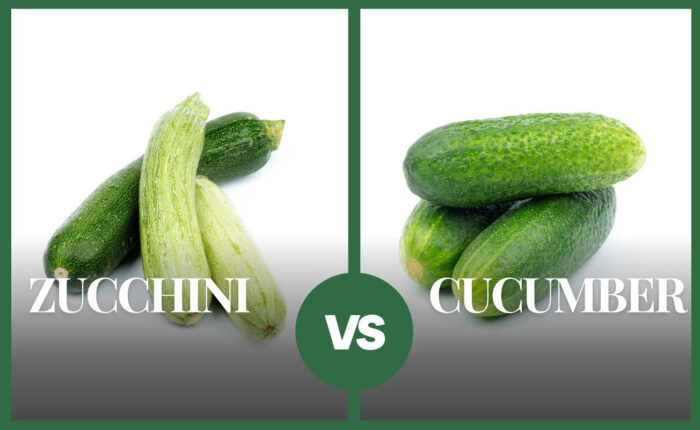 A pile of zucchini and a pile of cucumber with the text "zucchini," "vs.," and "cucumber"