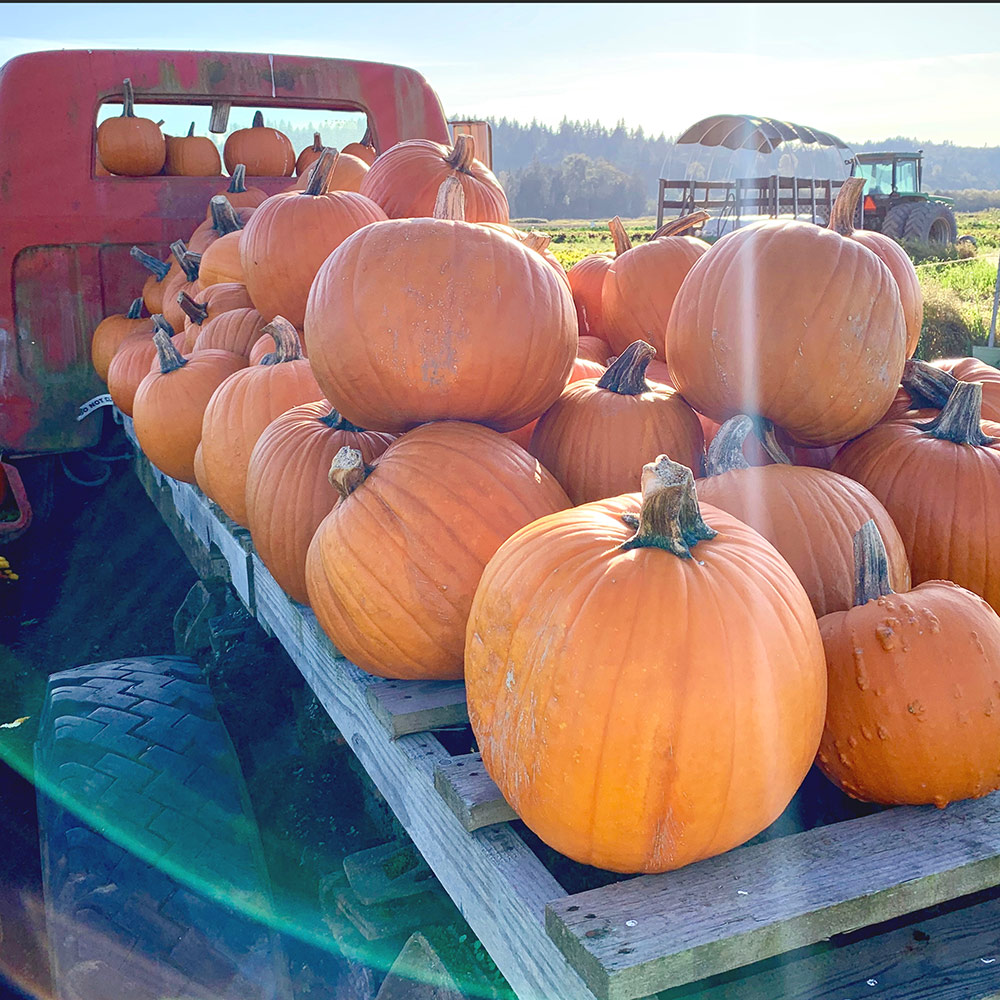 LIST: Pumpkin Patches in the valley