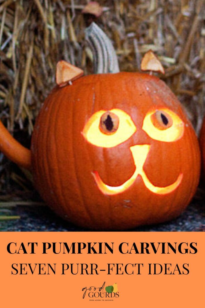 cat face pumpkin