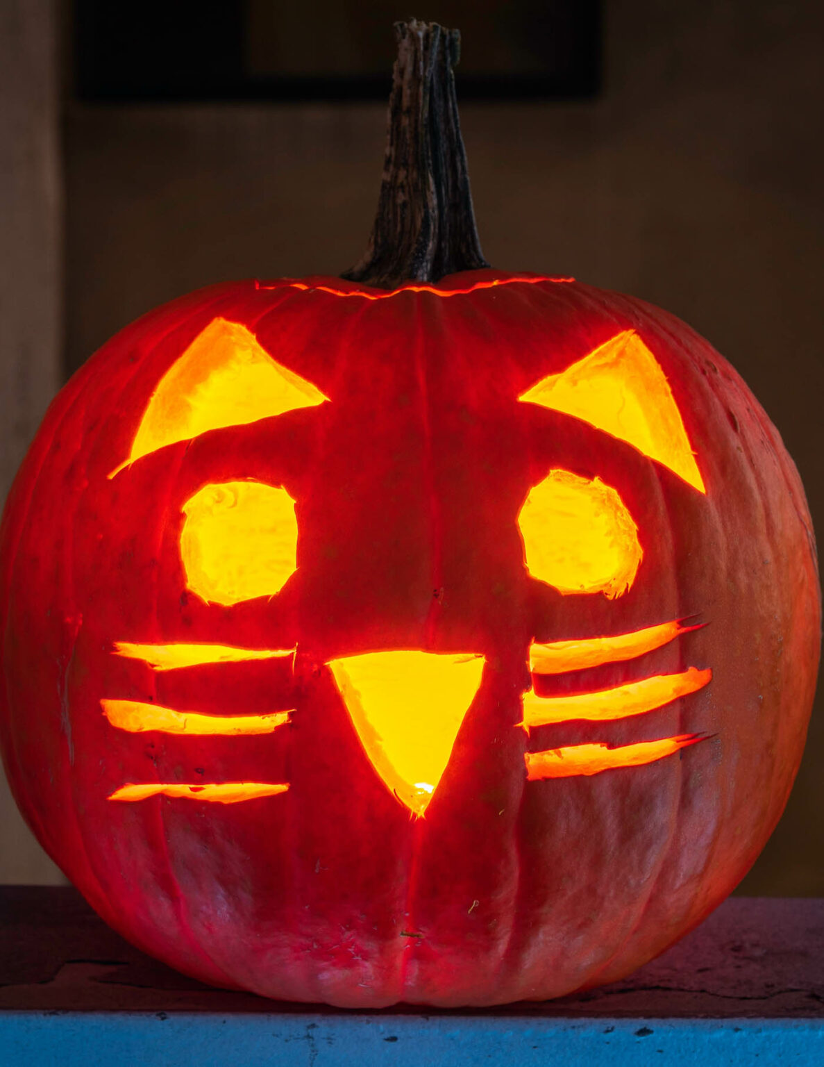 10 Cat Pumpkin Carving Ideas