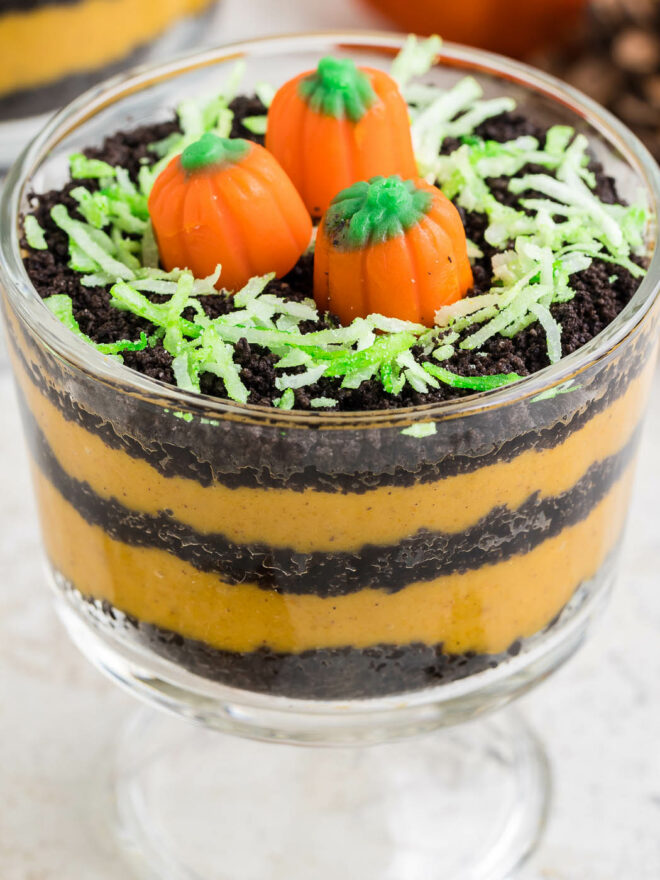 Pumpkin Patch Dirt Cups