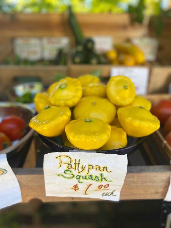 A pile of yellow pattypan squash are displayed at a farm stand on Salt Spring Island. The sign says "Pattypan Squash, $1"